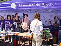 2017-05-20 Warszawski Dzień Zwierząt - Fotoreportaż